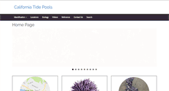 Desktop Screenshot of californiatidepools.com