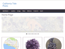 Tablet Screenshot of californiatidepools.com